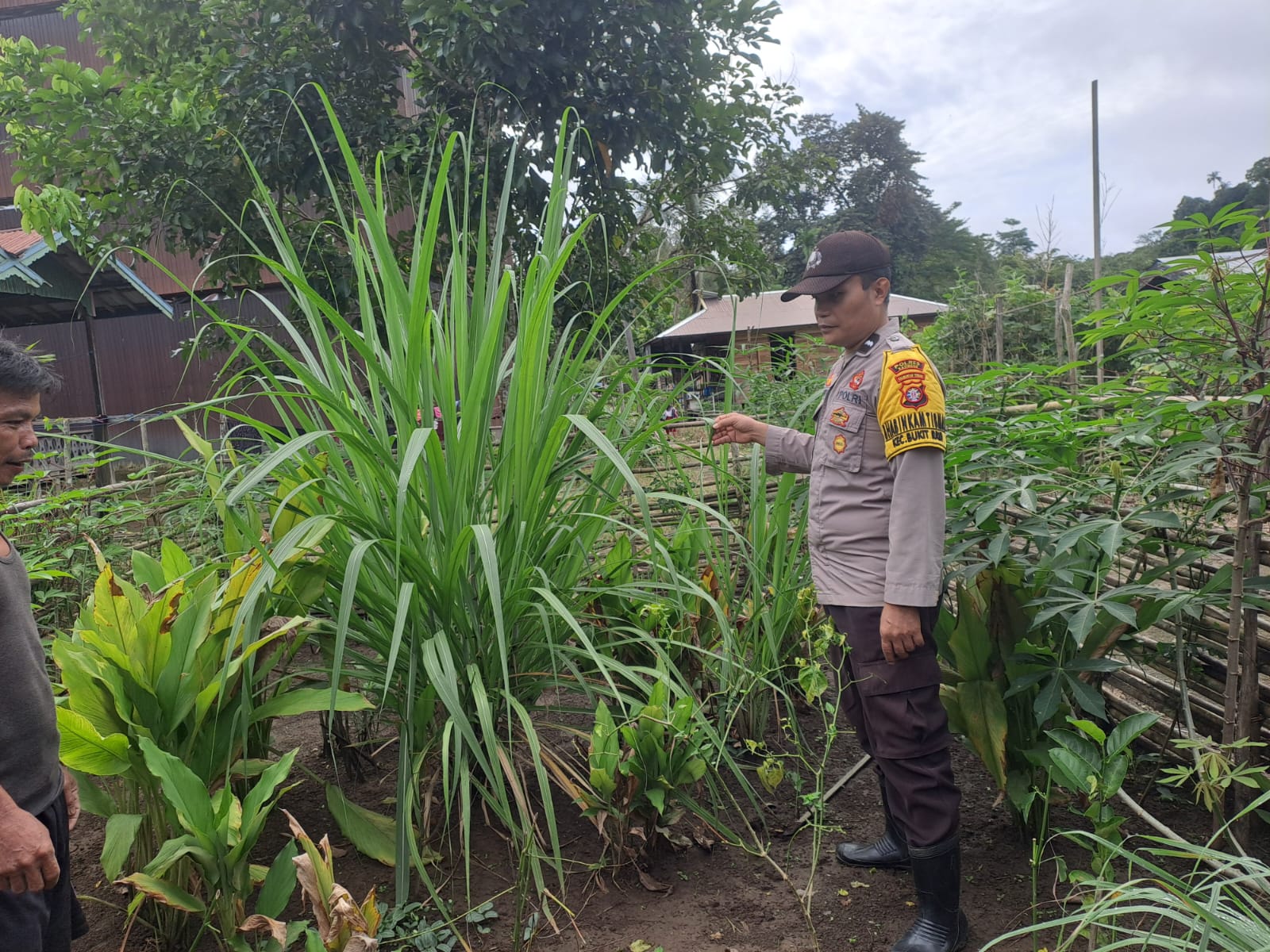 Mendukung Ketahanan Pangan, Personil Polsek Katingan Hulu dan Bukit Raya Cek Lokasi Pemanfaatan Pekarangan Warga.
