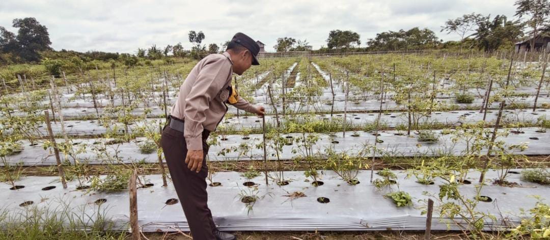 Polsek Tewang Sangalang Garing dan Pulau Malan Imbau Warga Tingkatkan Pemanfaatan Lahan Untuk Ketahanan Pangan