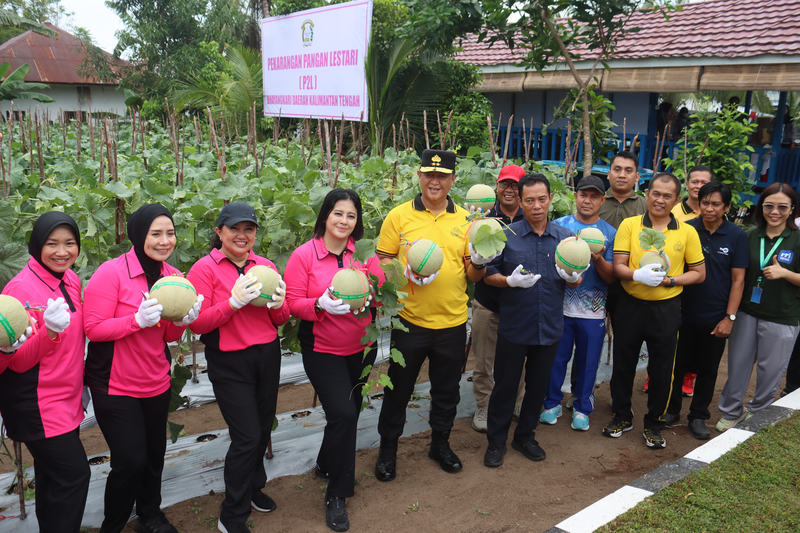 Dukung Ketahanan Pangan, Kapolda Kalteng Bersama Bhayangkari Panen Melon Perdana di Lahan Pekarangan Pangan Lestari