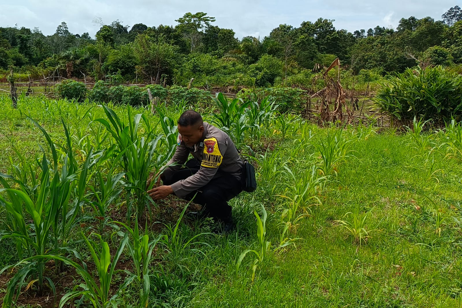 ‎Mendukung Ketahanan Pangan, Personil Polsek Katingan Hulu  Cek Lokasi Pemanfaatan Pekarangan Warga.‎