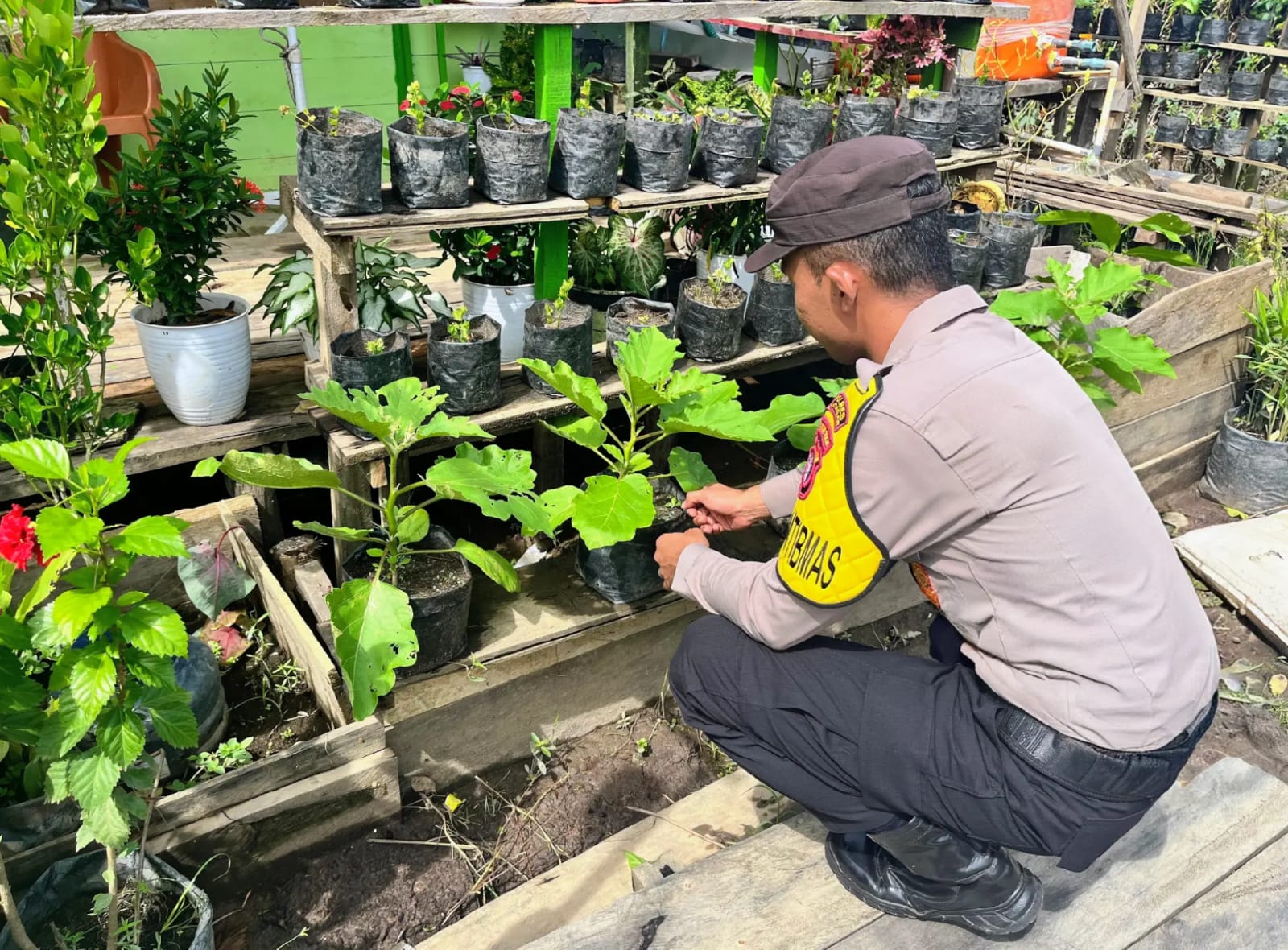 Bhabinkamtibmas Melakukan Pengecekan Lokasi Pemanfaatan Lahan Pekarangan Warga