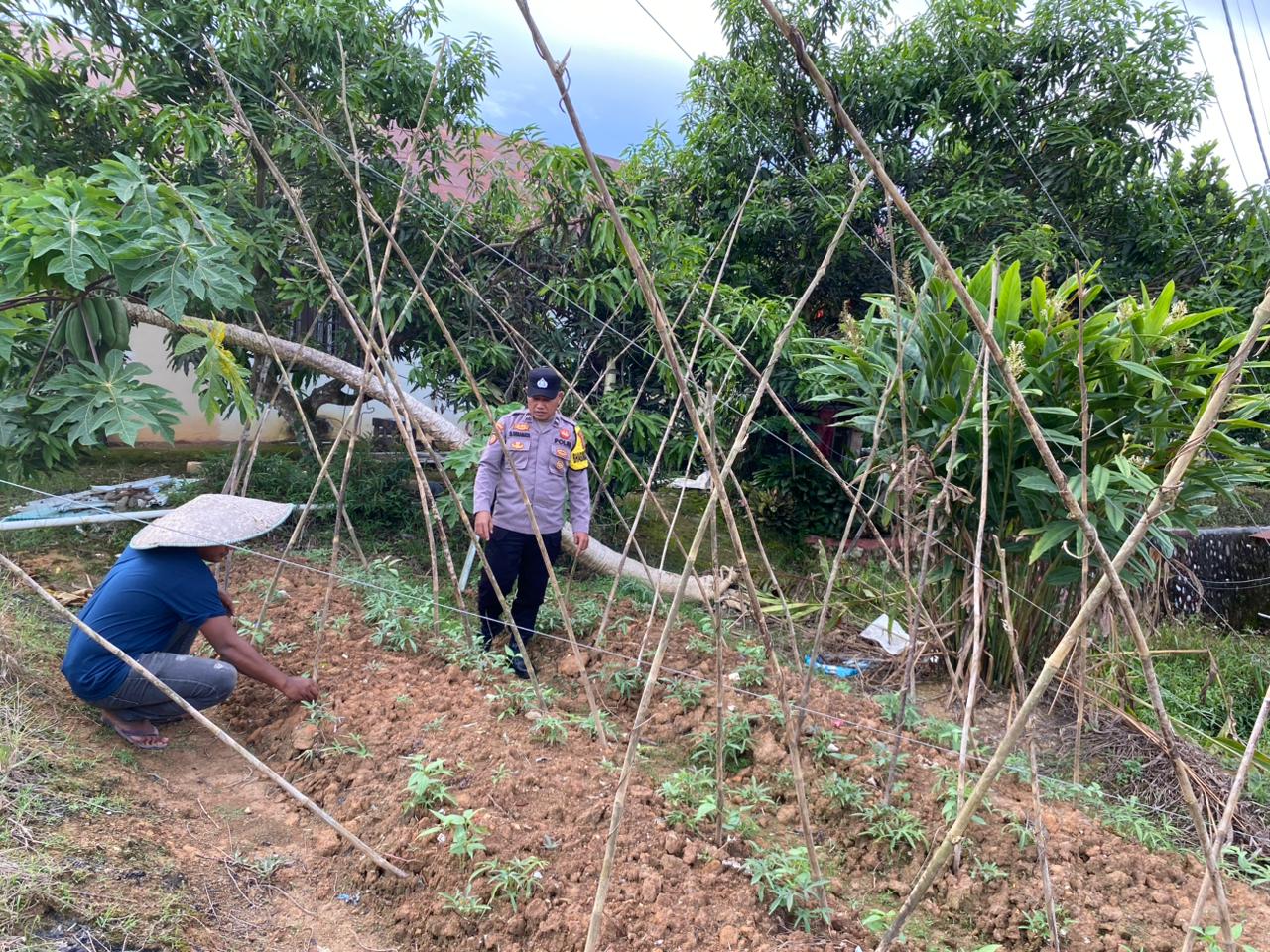 Melalui Pendampingan Warga, Bhabinkamtibmas Polsek Lamandau Sukseskan Program Ketahanan Pangan