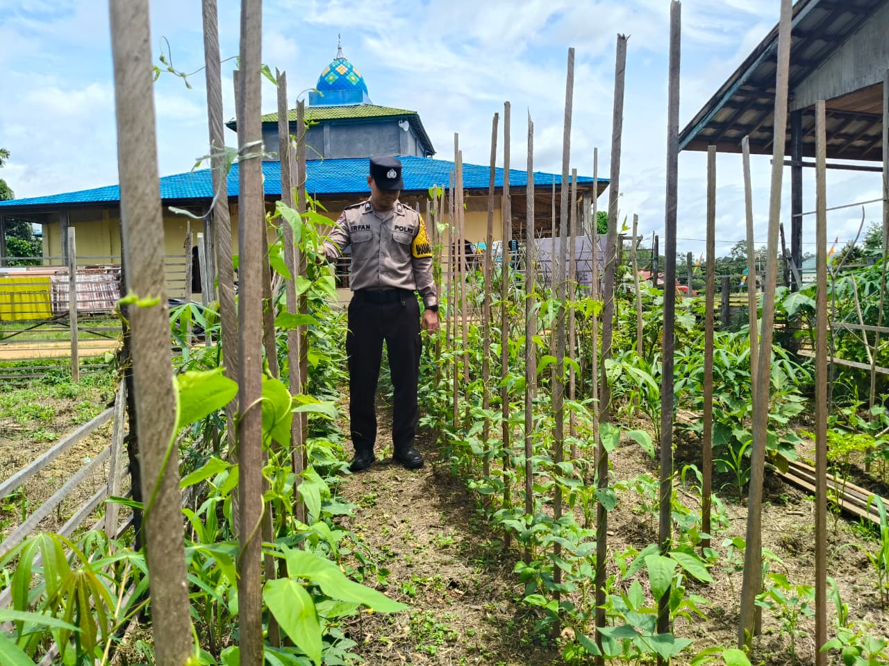 Dukung Ketahanan Pangan, Piket Polsek Marikit Cek Lokasi Pemanfaatan Pekarangan.