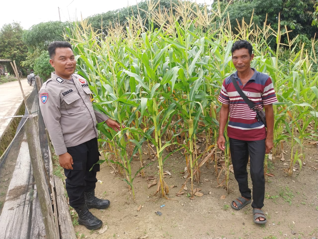 Dukung Ketahanan Pangan, Bhabinkamtibmas Ajak Warga Manfaatkan Pekarangan Bergizi