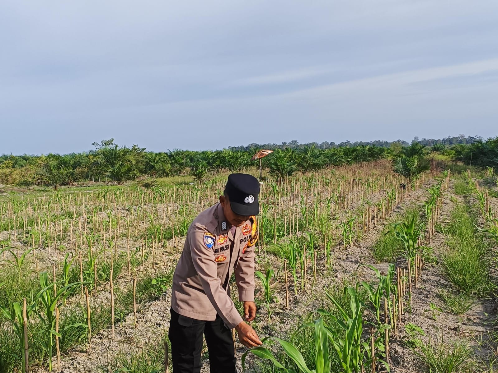 Polsek Tewang Sangalang Garing dan Pulau Malan Imbau Warga Tingkatkan Pemanfaatan Lahan Untuk Ketahanan Pangan