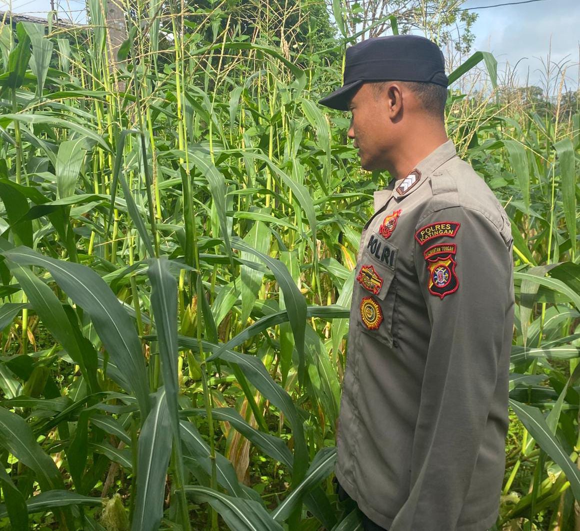 Mendukung Ketahanan Pangan, Personil Polsek sanaman mantikei Cek Lokasi Pemanfaatan Pekarangan Warga.