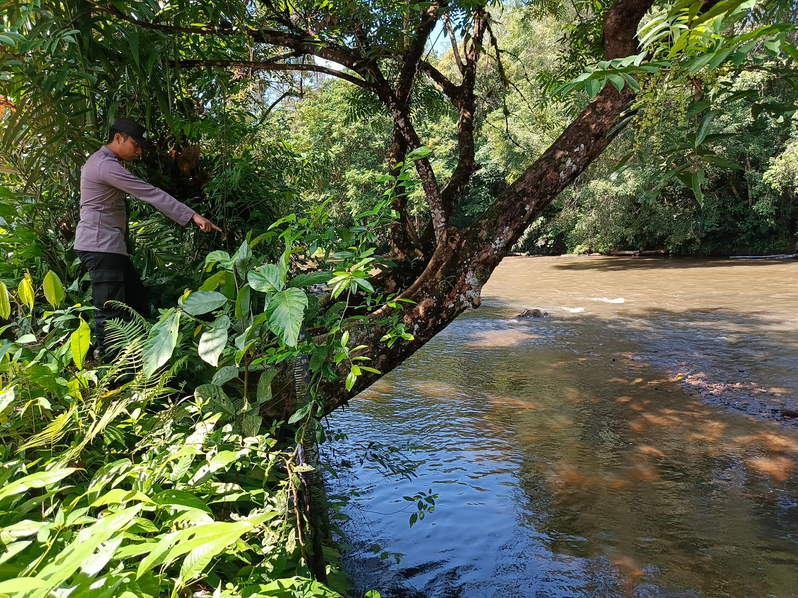 Piket Polsek Delang cek debit air DAS Delang