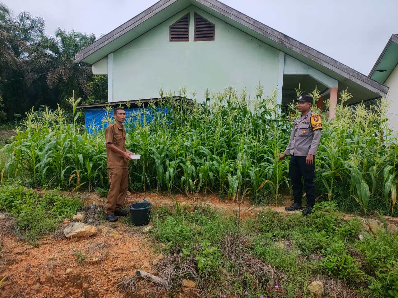 Bhabinkamtibmas Dukung Ketahanan Pangan Melalui Pekarangan Bergizi