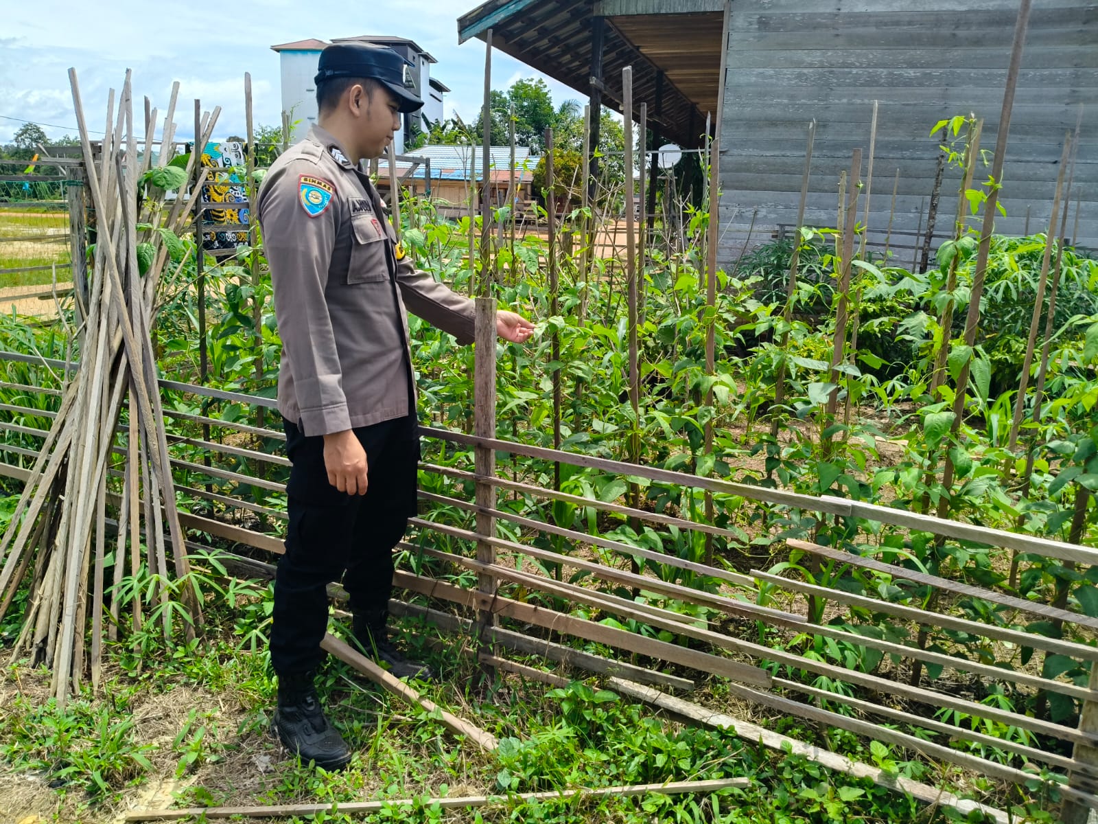Polsek Marikit melaksanakan kegiatan pengecekan pemanfaatan lahan dalam program Ketahanan Pangan bentuk Dukungan terhadap Kebijakan Presiden RI tentang Asta Cita Ketahanan Pangan