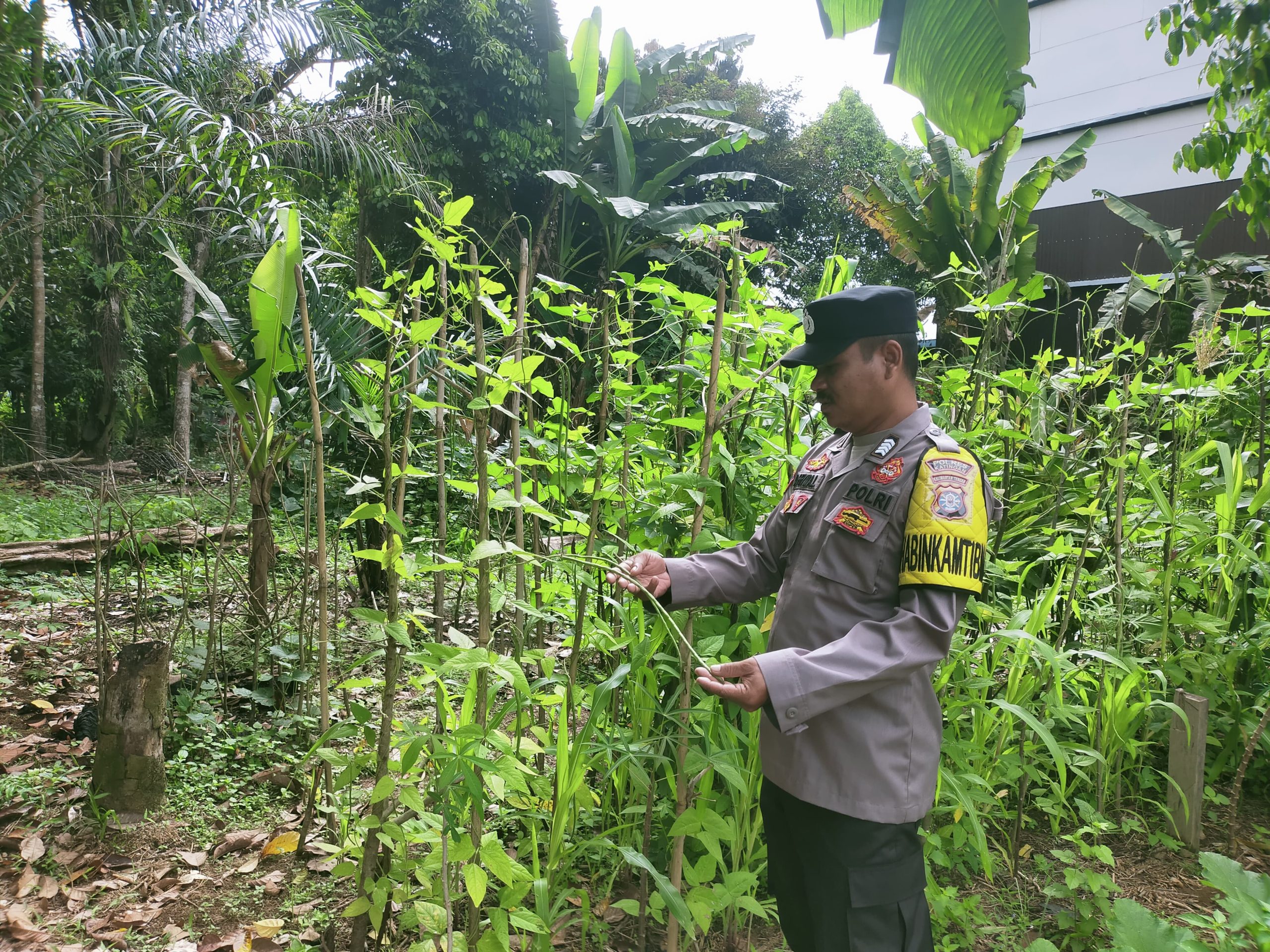 Mendukung Ketahanan Pangan, Personil Polsek sanaman mantikei Cek Lokasi Pemanfaatan Pekarangan Warga.