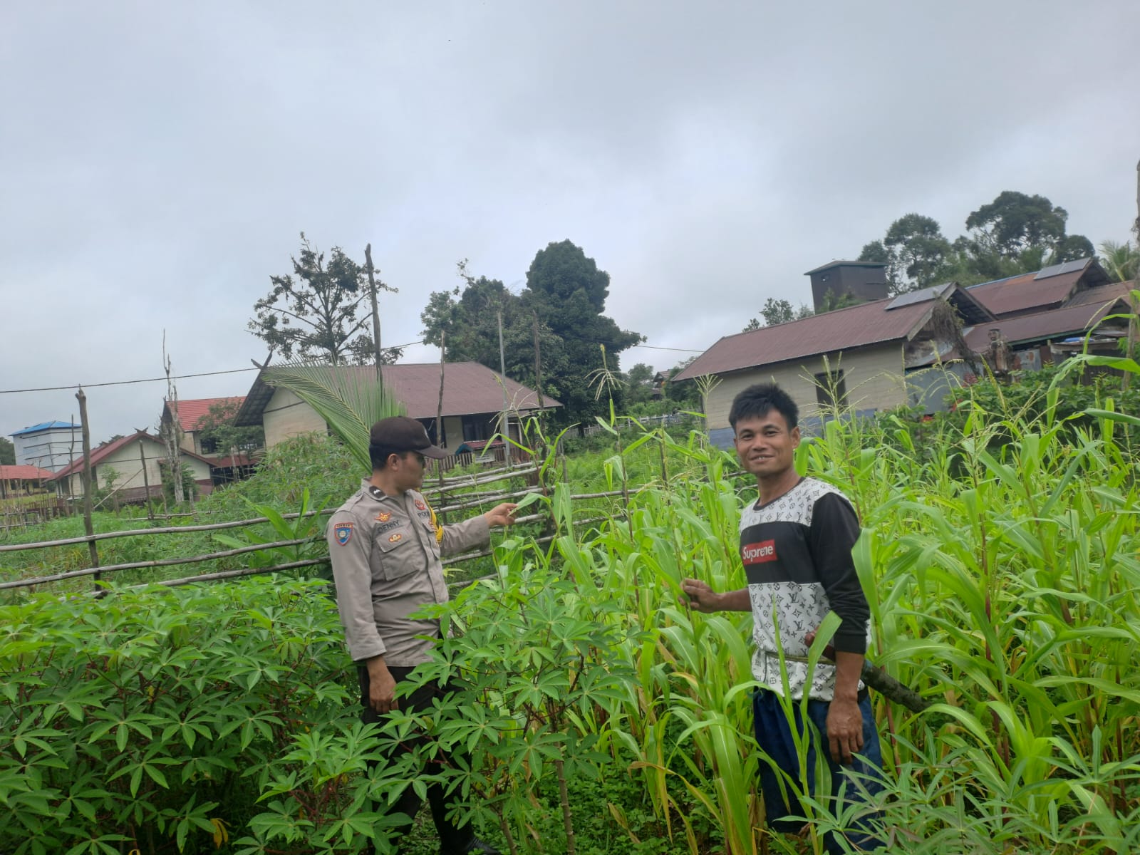 Mendukung Ketahanan Pangan, Personil Polsek Katingan Hulu dan Bukit Raya Cek Lokasi Pemanfaatan Pekarangan Warga.