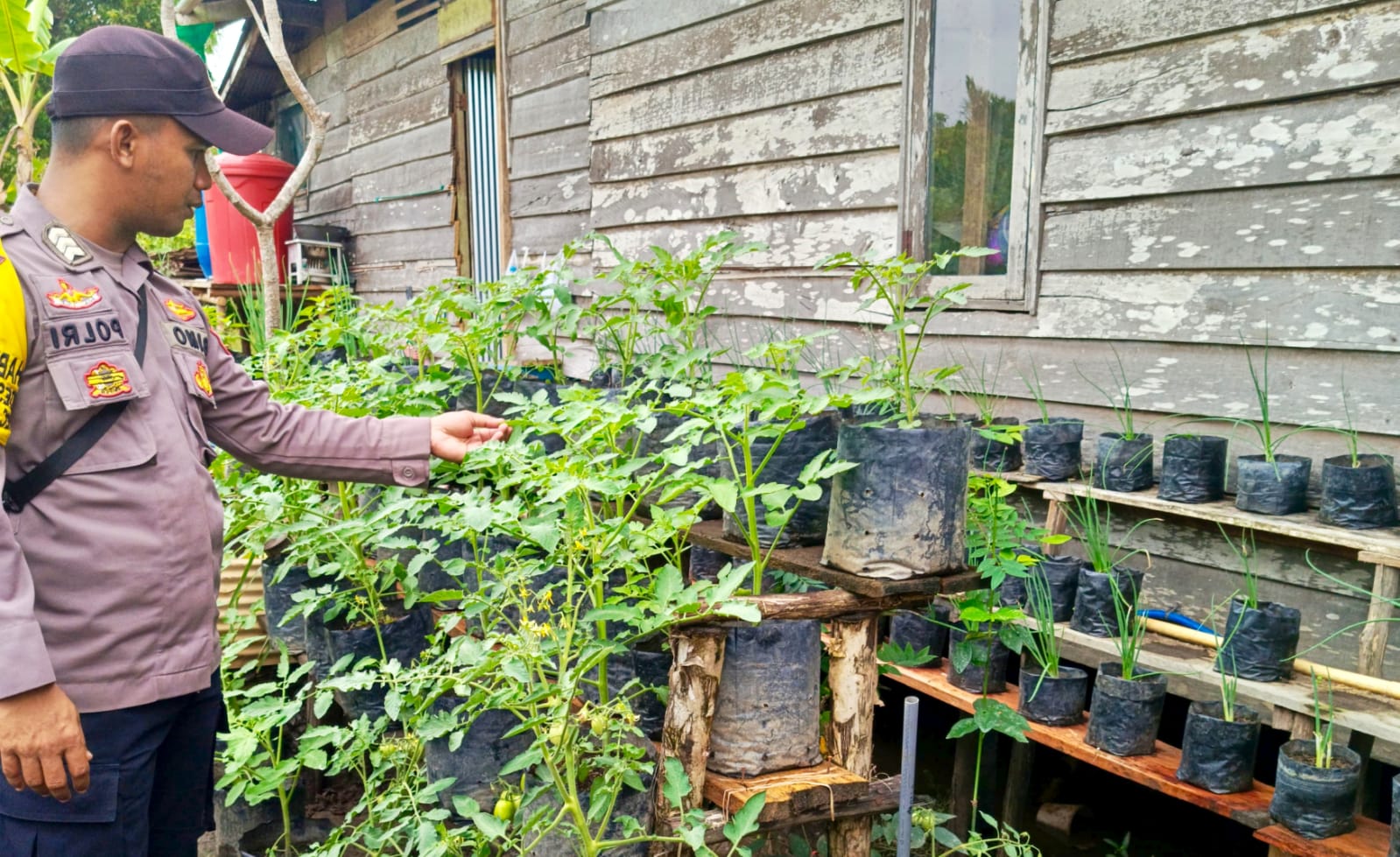 Bhabinkamtibmas Polsek Mendawai cek lokasi pemanfaatan pekarangan rumah warga binaan.