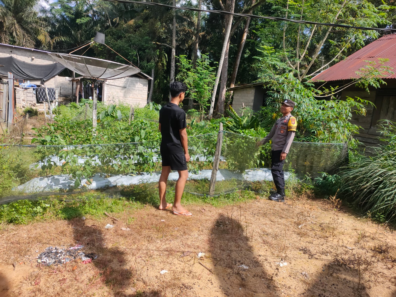 Dukung ketahanan pangan, bhabinkamtibmas laksanakan cooling system di Desa Mekar Mulya