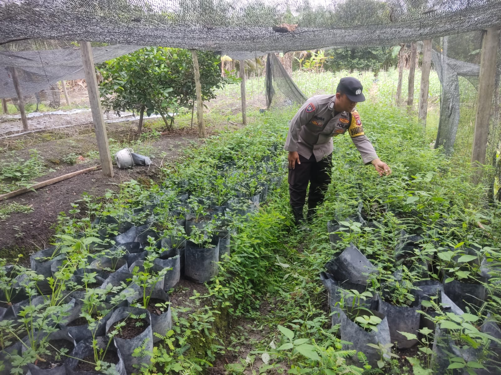 Personel Polsek Tewang Sangalang Garing dan Pulau Malan melaksanakan pengecekan lokasi pemanfaatan lahan pekarangan warga Binaannya