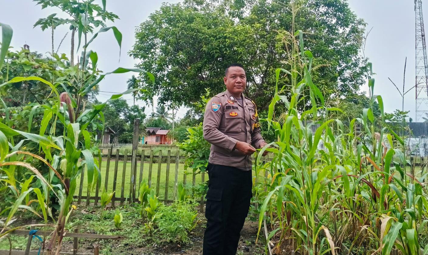 ‎Mendukung Ketahanan Pangan, Personil Polsek Katingan Hulu  Cek Lokasi Pemanfaatan Pekarangan Warga.