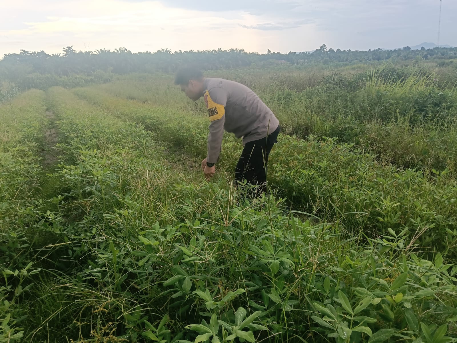 Bhabinkamtibmas Wujudkan Asta Cita melalui Penguatan Ketahanan Pangan