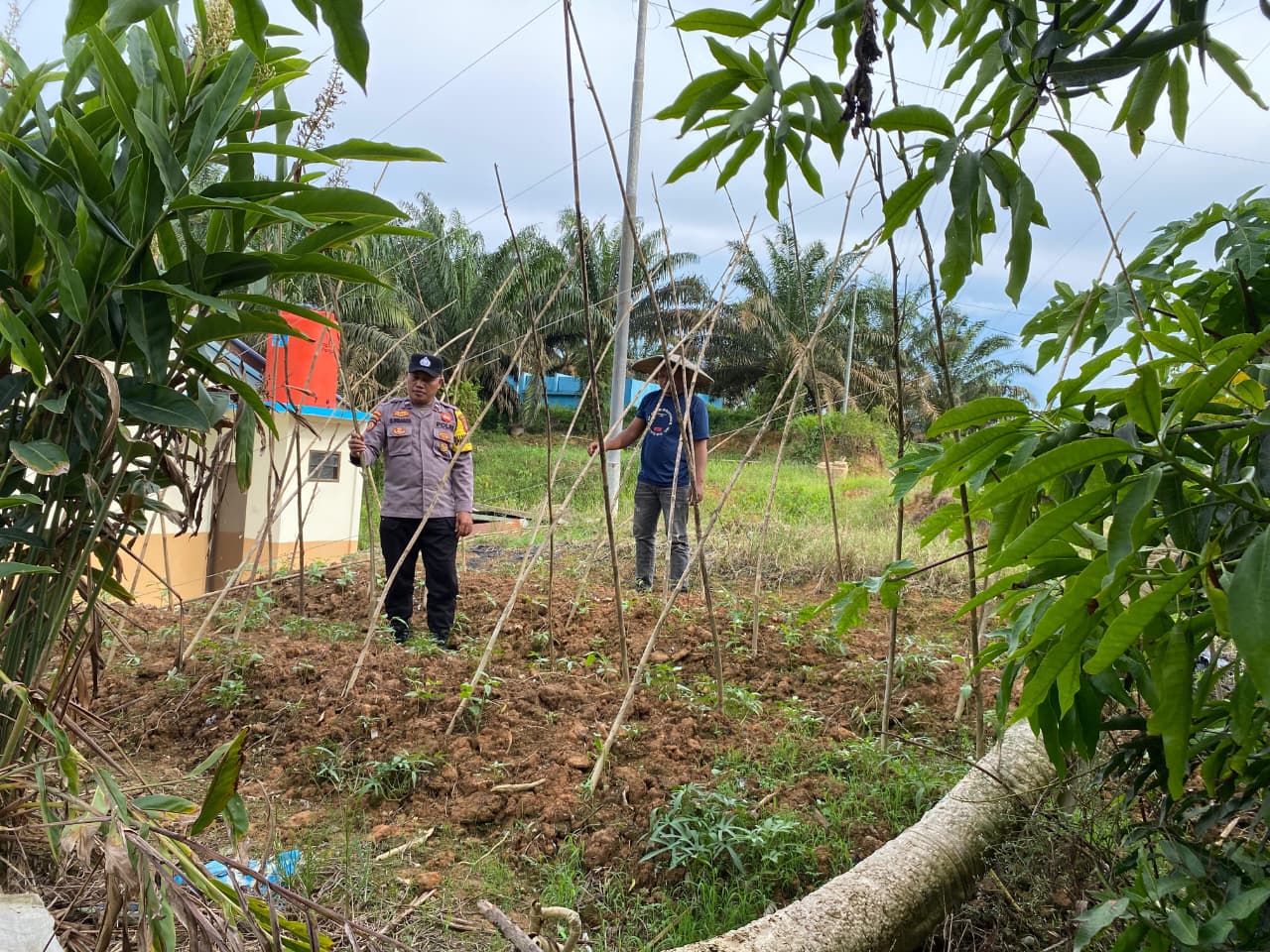 Bhabinkamtibmas Dorong Warga Optimalkan Pekarangan untuk Ketahanan Pangan