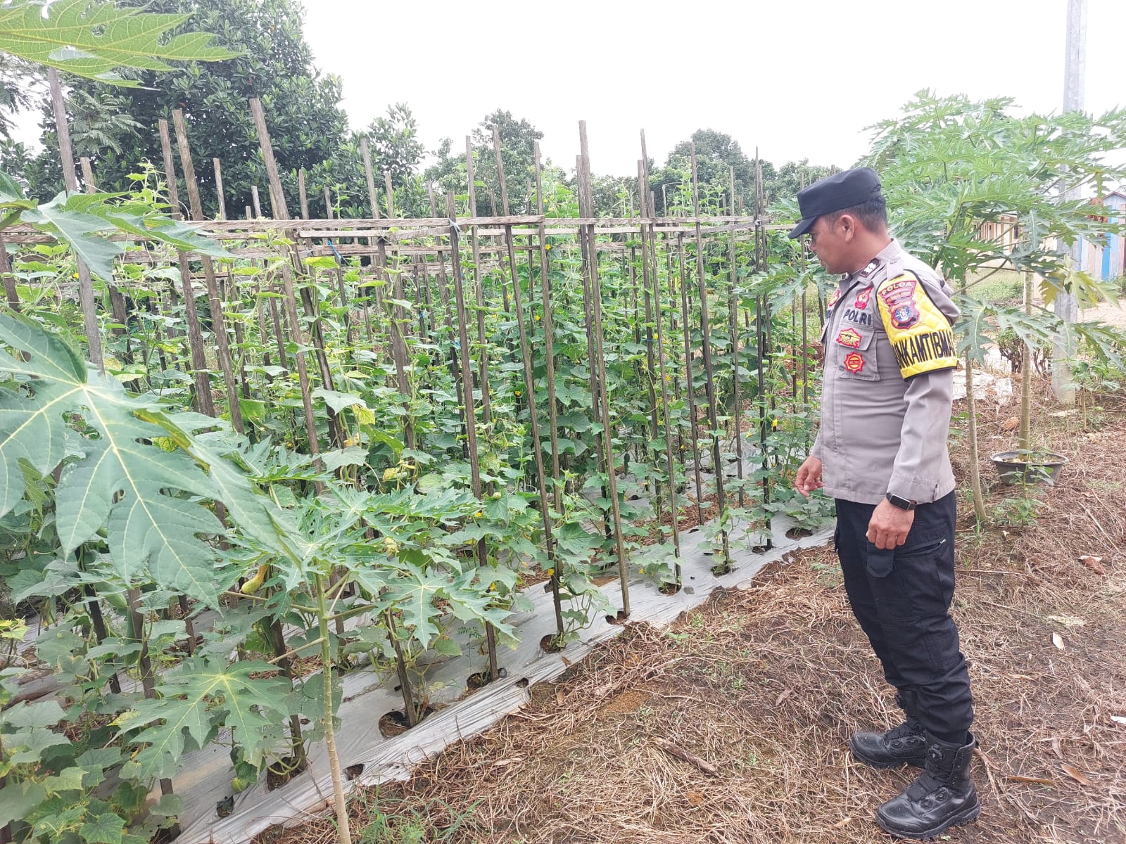 Personil Polsek Marikit Cek Lokasi Pemanfaatan Pekarangan Warga di Kec. Marikit, Kab. Katingan.