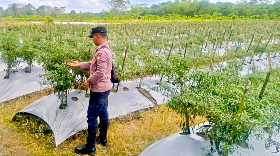 Bhabinkamtibmas Polsek Mendawai cek lokasi pemanfaatan pekarangan rumah warga binaan.