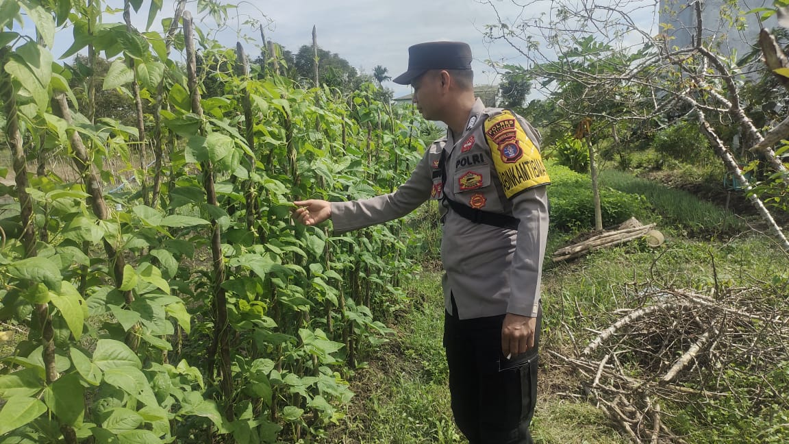 Mendukung ketahanan pangan, Personil Polsek Katingan Kuala cek lokasi pemanfaatan lahan warga berkebun holtikultura