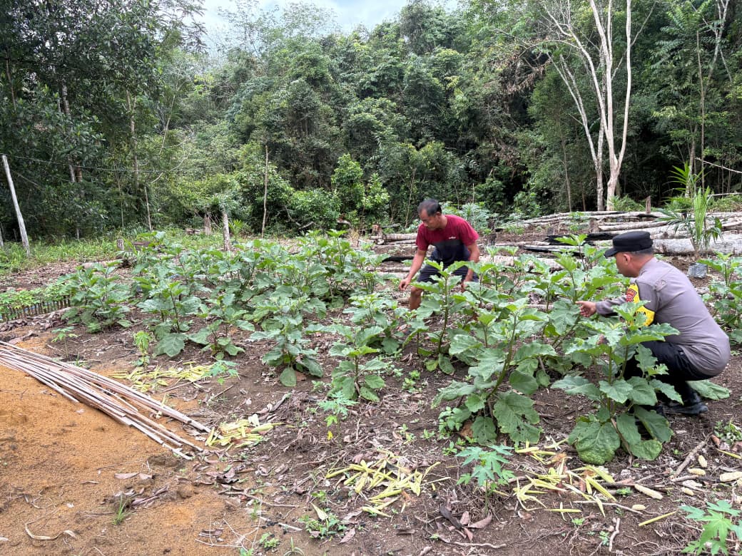 Bhabinkamtibmas Gencarkan Pemanfaatan Pekarangan untuk Dukung Ketahanan Pangan