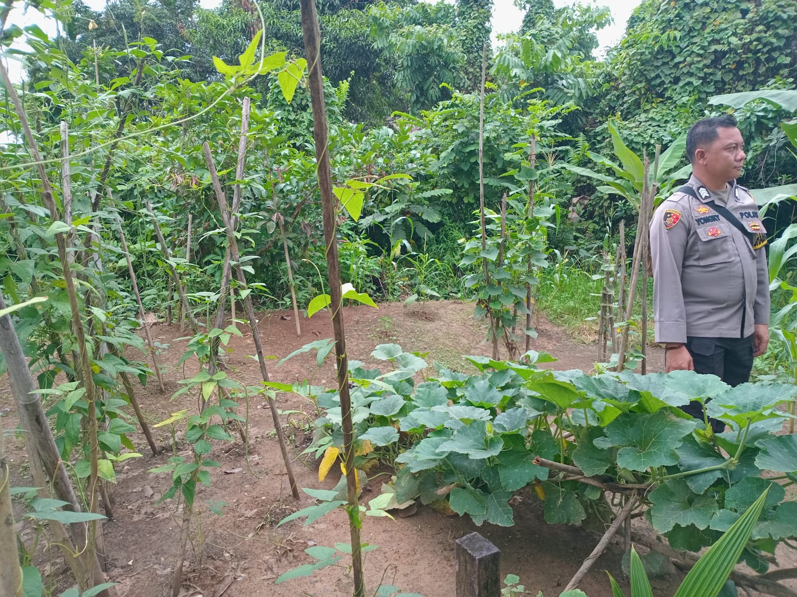 Mendukung Ketahanan Pangan, Personil Polsek sanaman mantikei Cek Lokasi Pemanfaatan Pekarangan Warga.