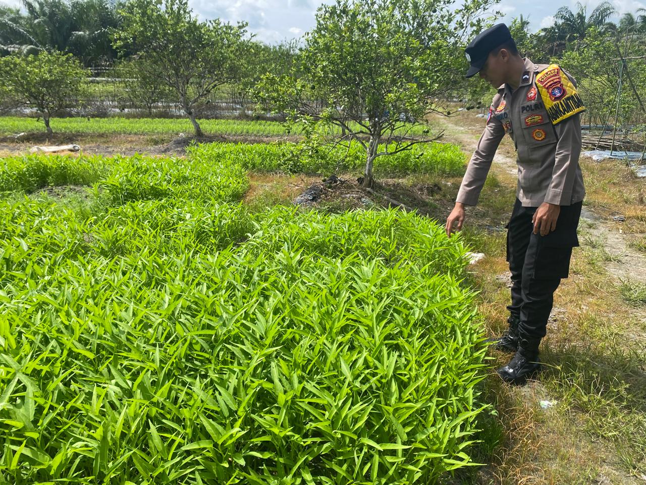 Polsek Tewang Sangalang Garing dan Pulau Malan imbau warga tingkatkan pemanfaatan lahan untuk ketahanan pangan