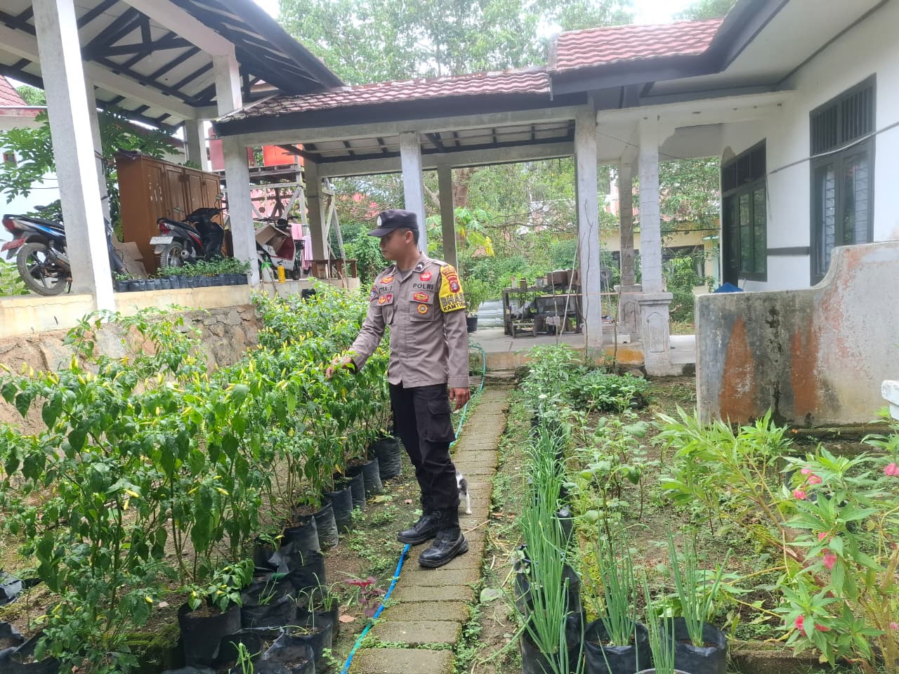 Bhabinkamtibmas Dorong Warga Optimalkan Pekarangan untuk Ketahanan Pangan
