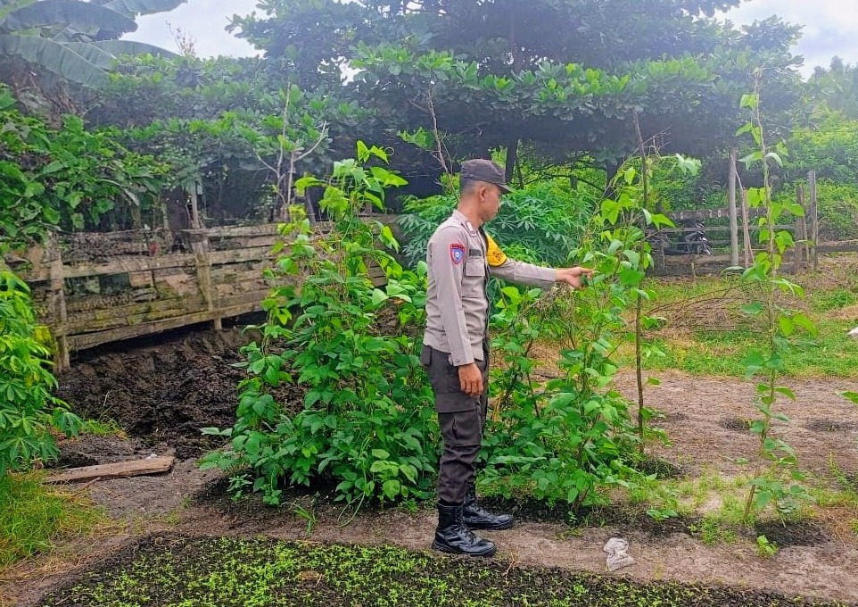 Bhabinkamtibmas Melakukan Pengecekan Lokasi Pemanfaatan Lahan Pekarangan Warga Desa Binaannya