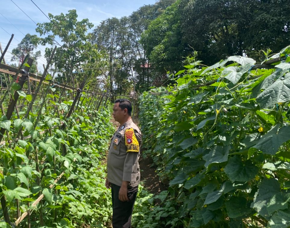 Mendukung Ketahanan Pangan, Personil Polsek sanaman mantikei Cek Lokasi Pemanfaatan Pekarangan Warga.