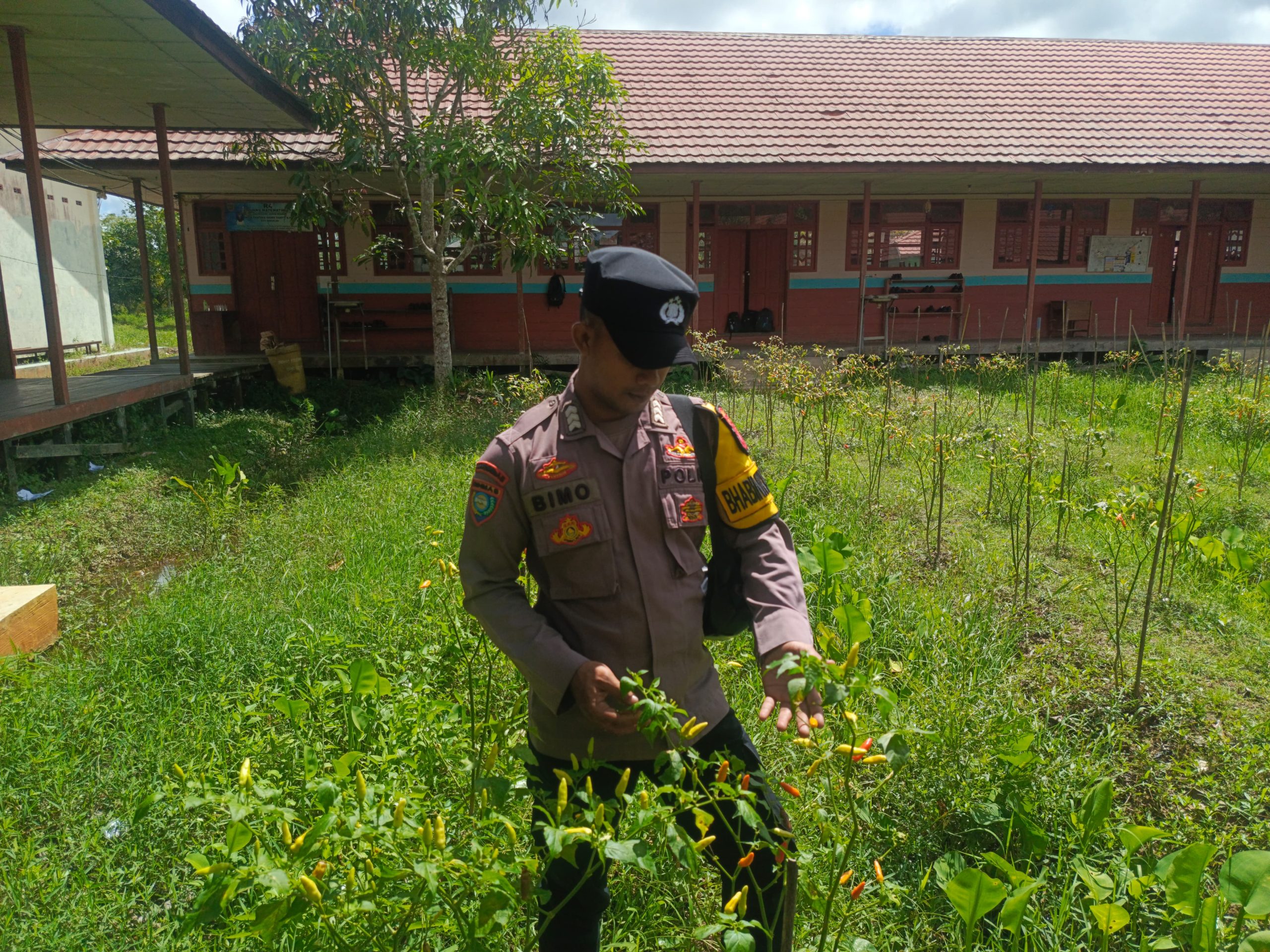 Bhabinkamtibmas Polsek Mendawai cek lokasi pemanfaatan pekarangan rumah warga binaan.