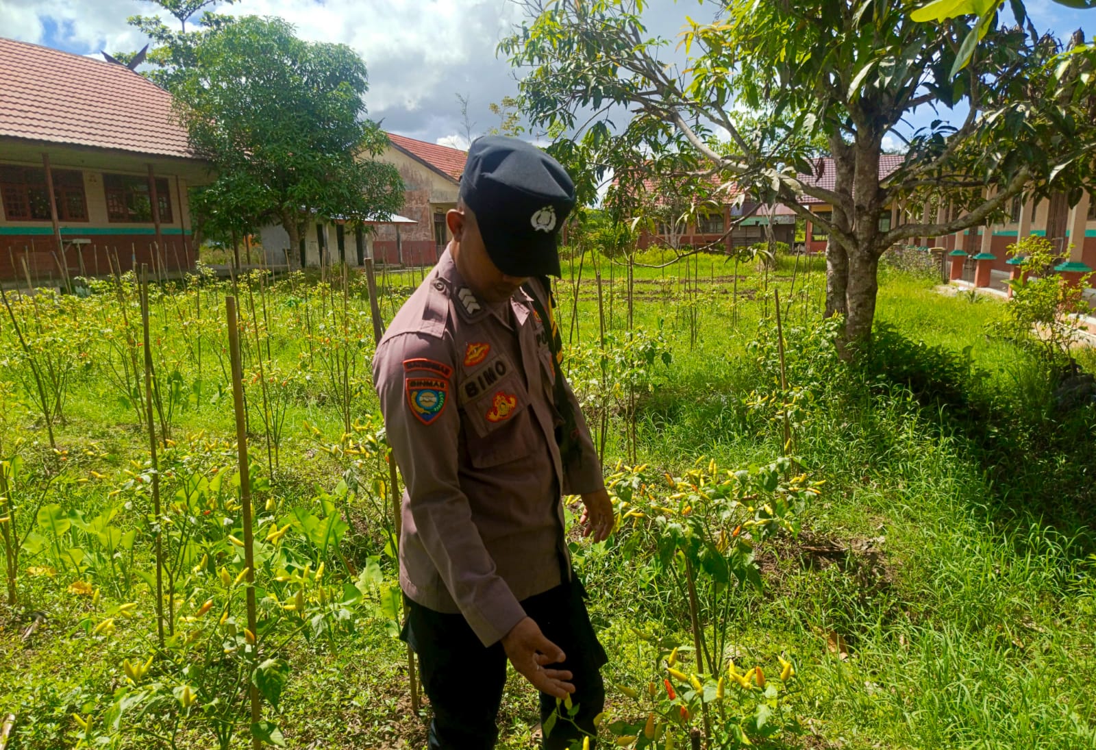 Bhabinkamtibmas Polsek Mendawai cek lokasi pemanfaatan pekarangan rumah warga binaan.
