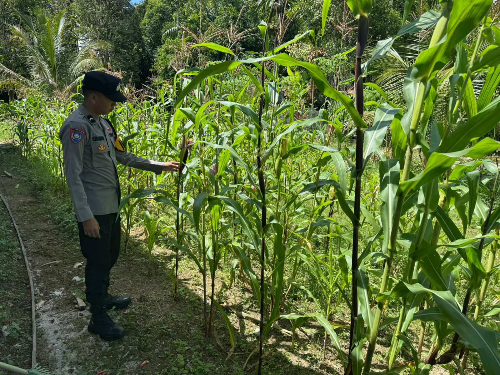 Polsek Tewang Sangalang Garing dan Pulau Malan Imbau Warga Tingkatkan Pemanfaatan Lahan Untuk Ketahanan Pangan