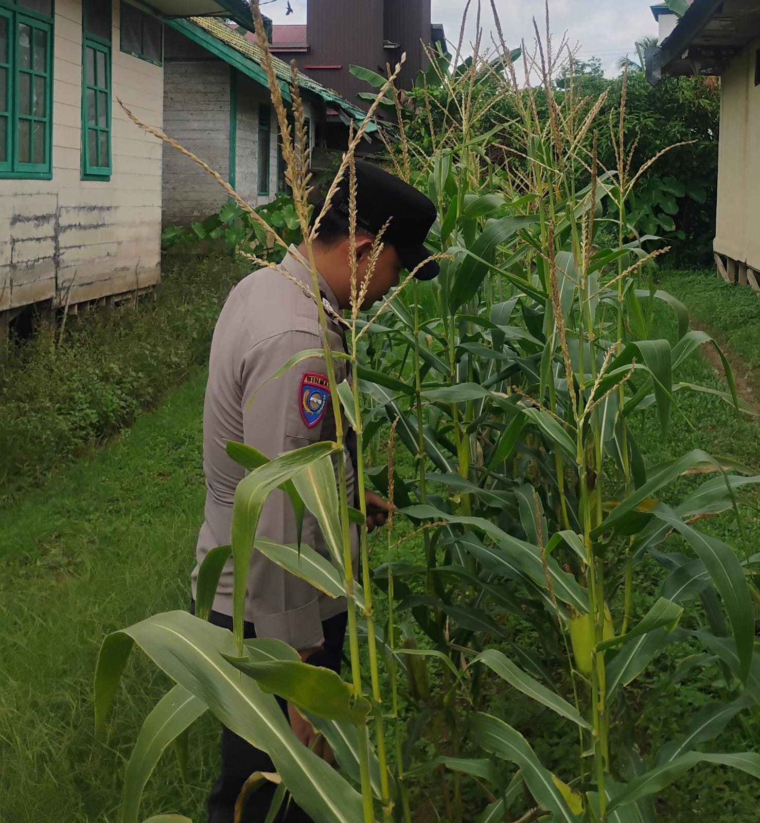 Personil Polsek Tasik Payawan dan Kamipang Cek Lokasi Pemanfaatan Pekarangan Warga
