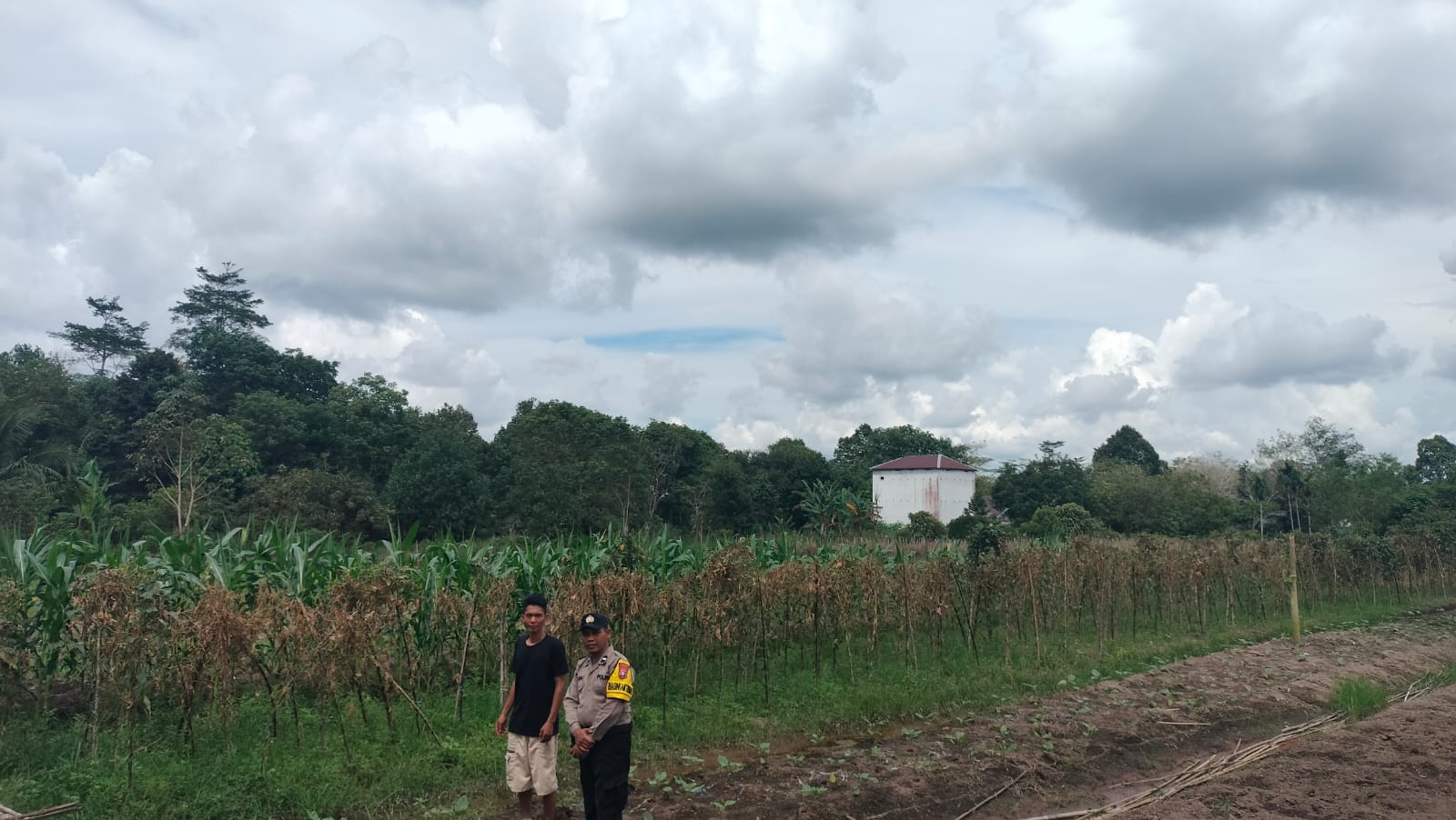 Dalam Rangka Mendukung Program Pemerintah, Bhabinkamtibmas Desa Mekartani Polsek Mendawai Cek Lokasi Pemanfaatan Lahan Pekarangan Warga