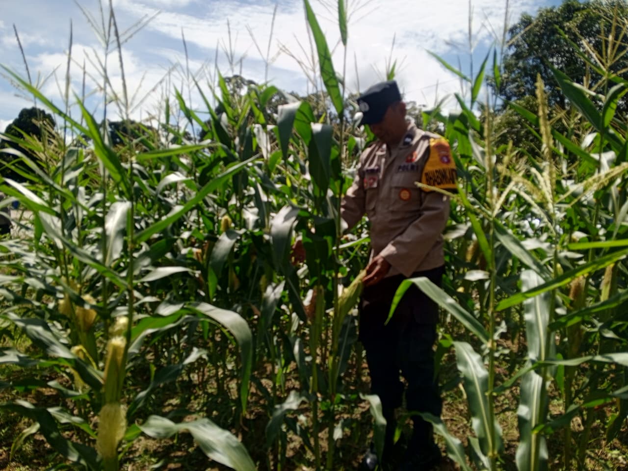 ‎Polsek Tewang Sangalang Garing dan Pulau Malan Imbau Warga Tingkatkan Pemanfaatan Lahan Untuk Ketahanan Pangan