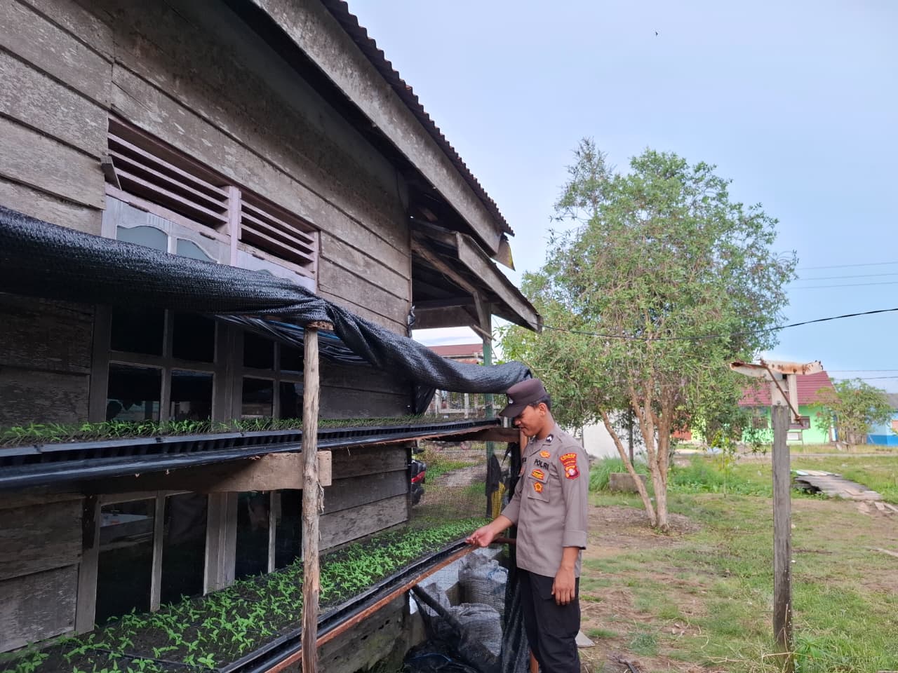Mendukung ketahanan pangan, Personil Polsek Katingan Kuala cek lokasi pemanfaatan lahan warga berkebun holtikultura