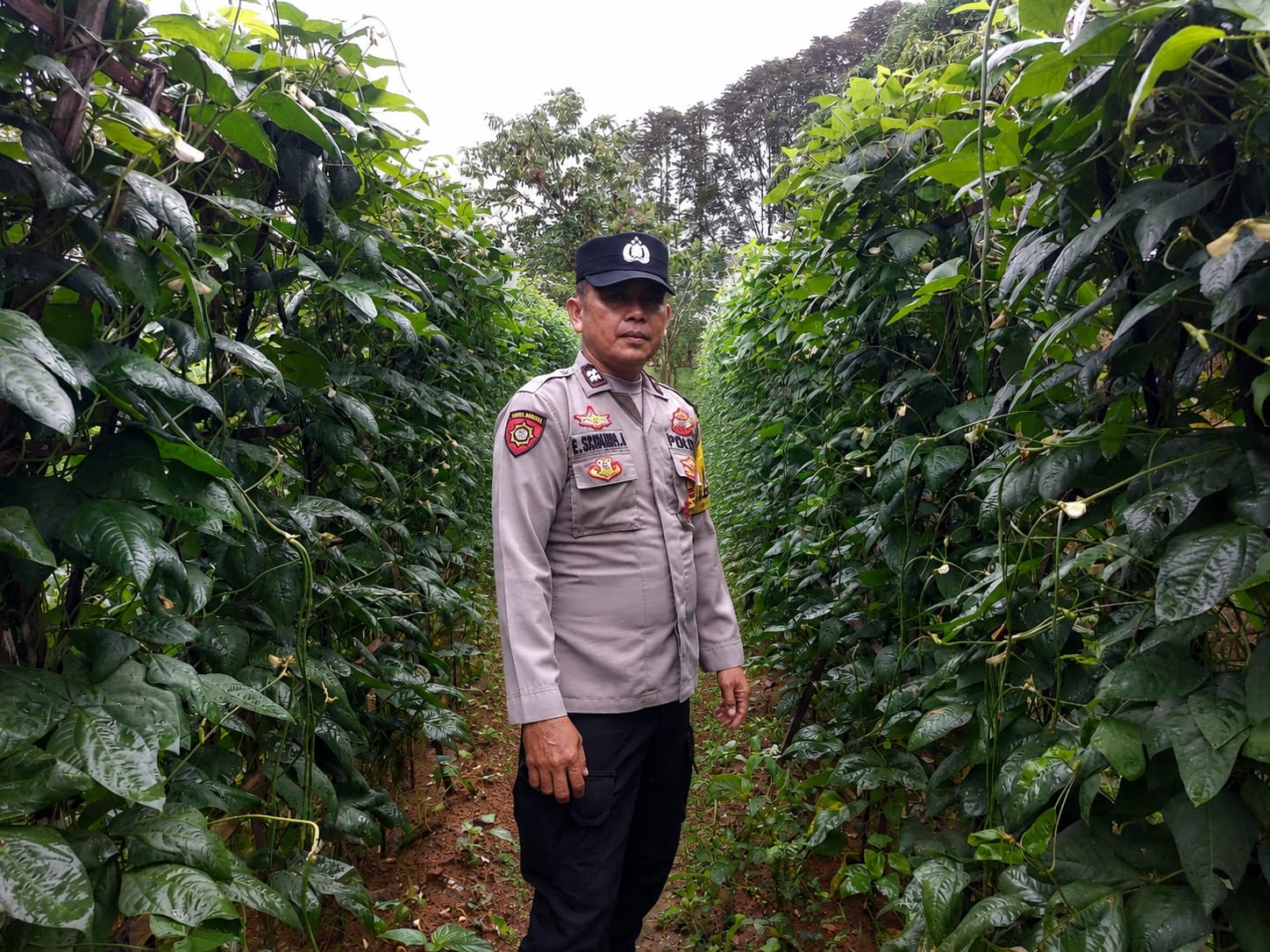Personil Polsek Marikit Cek Lokasi Pemanfaatan Pekarangan Warga di Kec. Marikit, Kab. Katingan.