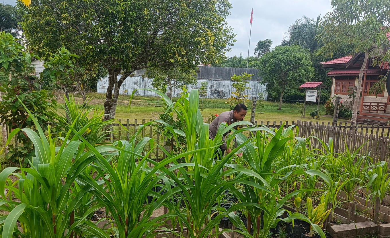 Mendukung Ketahanan Pangan, Personil Polsek Katingan Hulu Cek Lokasi Pemanfaatan Pekarangan Warga.