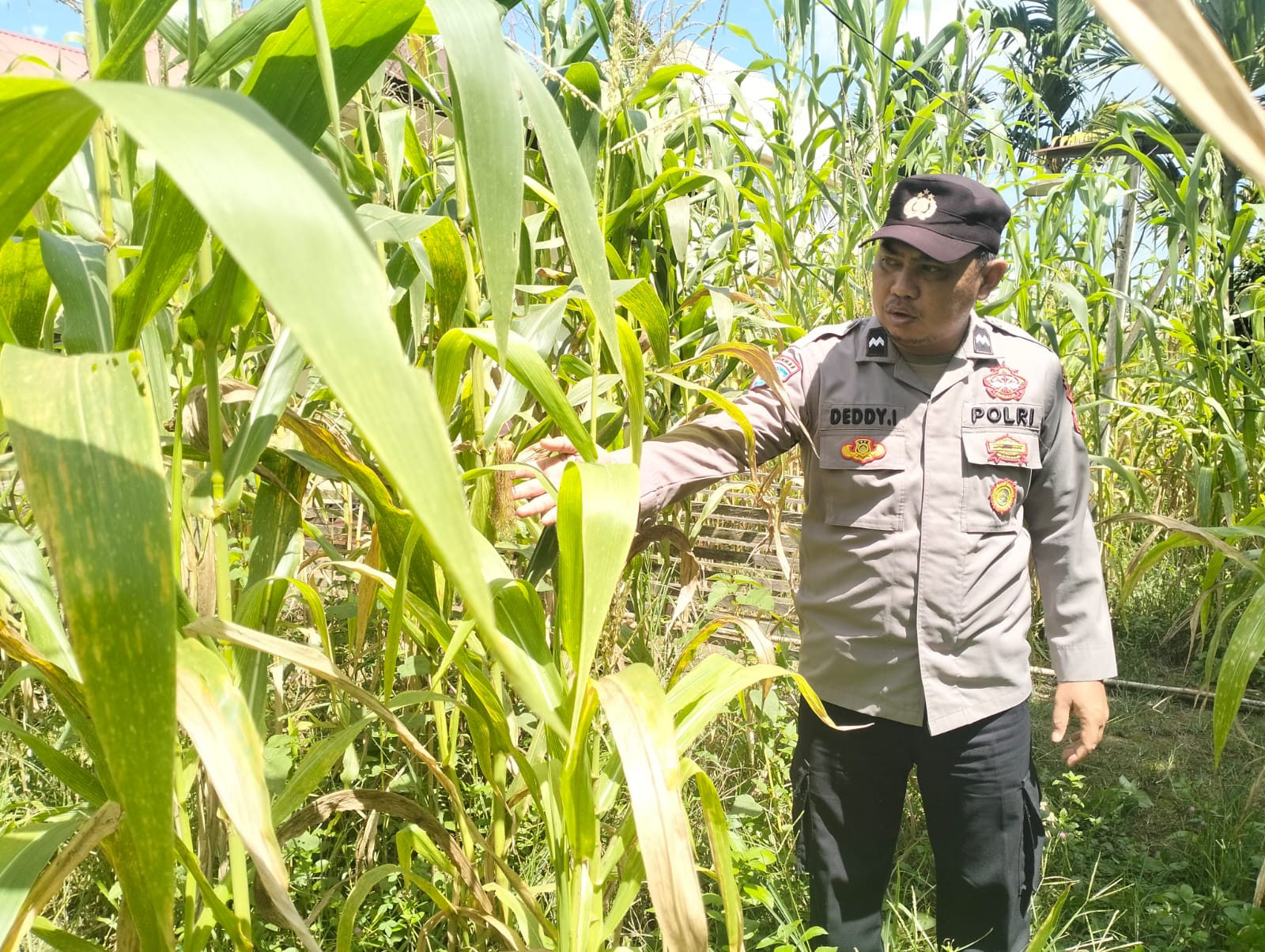 Personil Polsek Marikit Cek Lokasi Pemanfaatan Pekarangan Warga di Kec. Marikit, Kab. Katingan.
