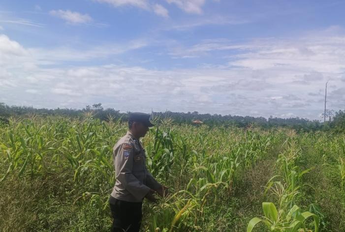Polsek Tewang Sangalang Garing dan Pulau Malan Imbau Warga Tingkatkan Pemanfaatan Lahan Untuk Ketahanan Pangan