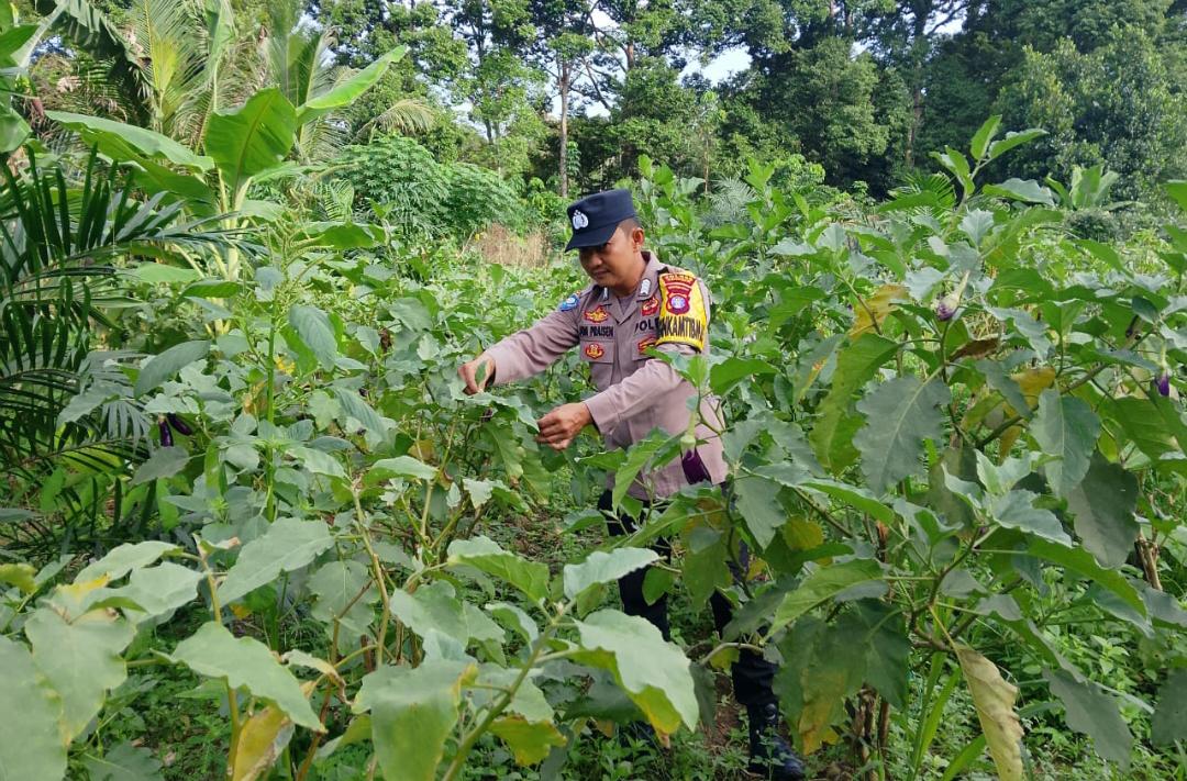 ‎Polsek Tewang Sangalang Garing dan Pulau Malan Imbau Warga Tingkatkan Pemanfaatan Lahan Untuk Ketahanan Pangan