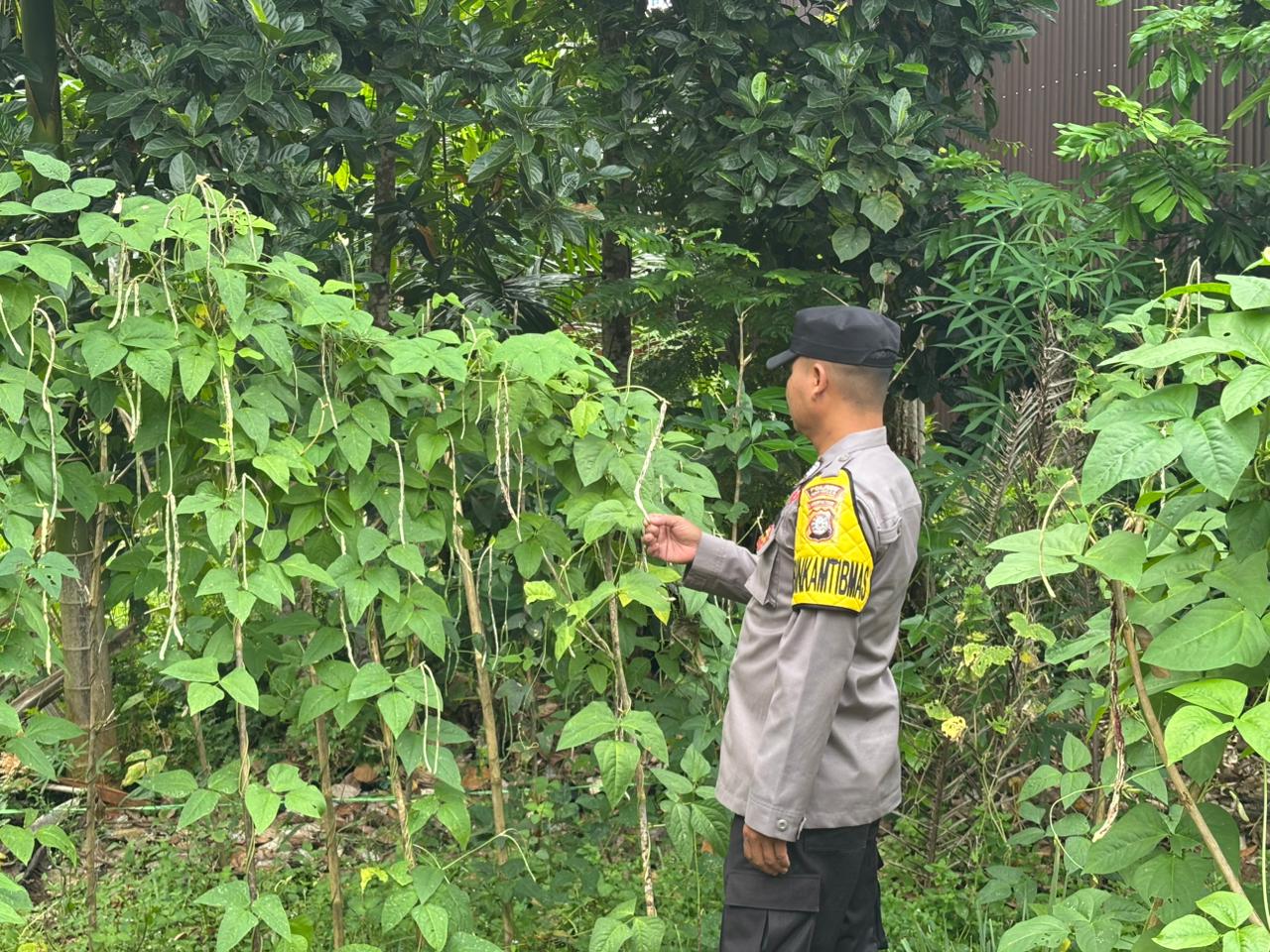 Mendukung Ketahanan Pangan, Personil Polsek sanaman mantikei Cek Lokasi Pemanfaatan Pekarangan Warga.