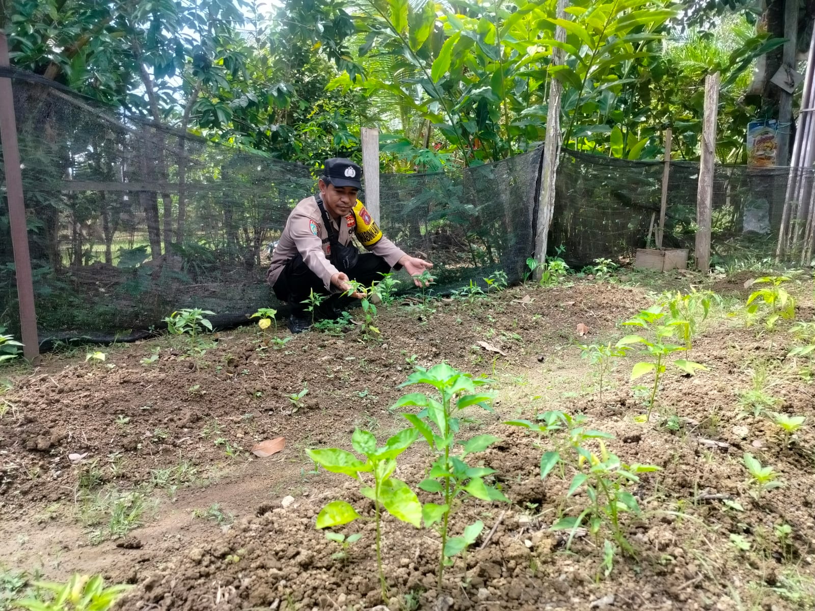 Polsek Marikit Sukseskan Pangan Mandiri lewat Monitoring Lahan