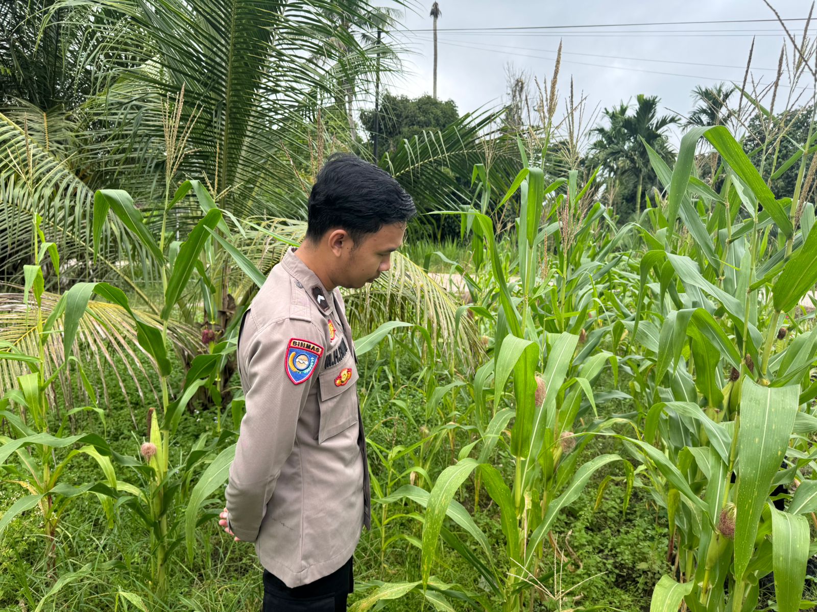 Polsek Tewang Sangalang Garing dan Pulau Malan Imbau Warga Tingkatkan Pemanfaatan Lahan Untuk Ketahanan Pangan