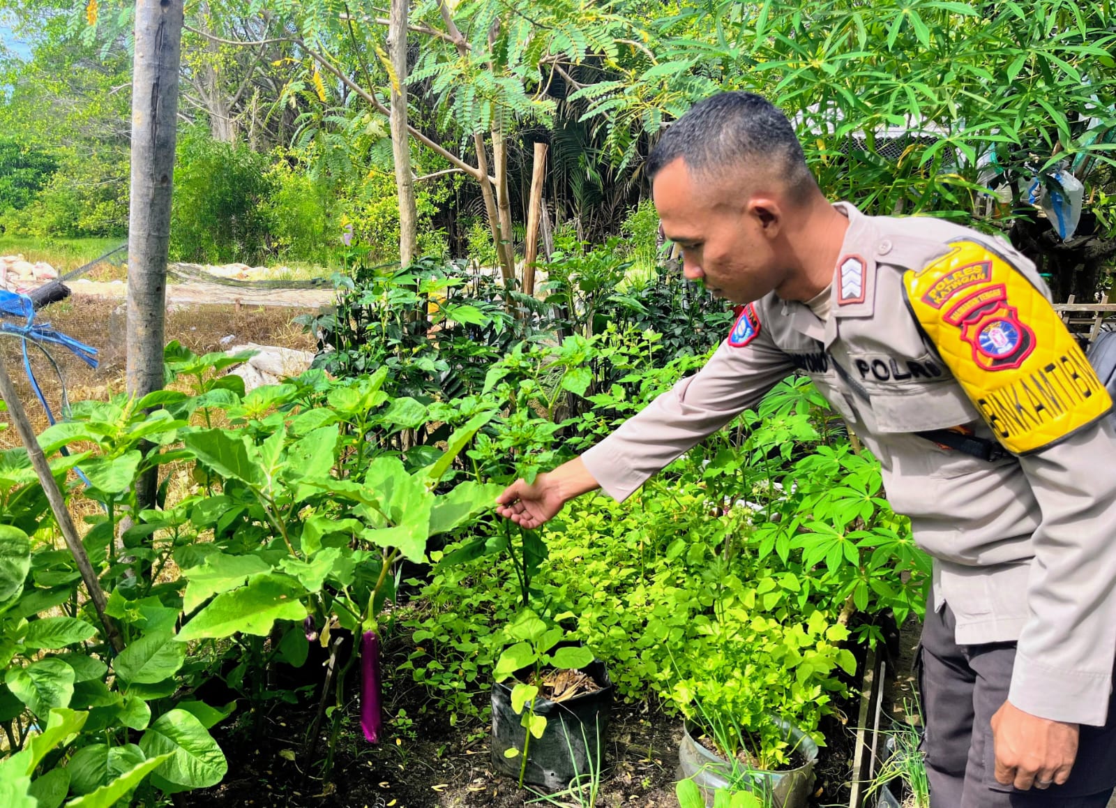 Bhabinkamtibmas Melakukan Pengecekan Lokasi Pemanfaatan Lahan Pekarangan Warga Desa Binaannya
