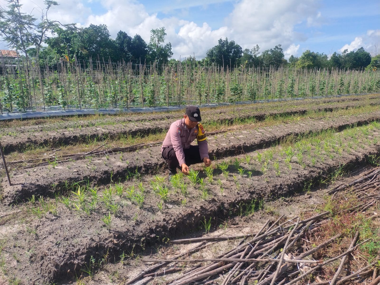 Polsek Tewang Sangalang Garing dan Pulau Malan imbau warga tingkatkan pemanfaatan lahan untuk ketahanan pangan