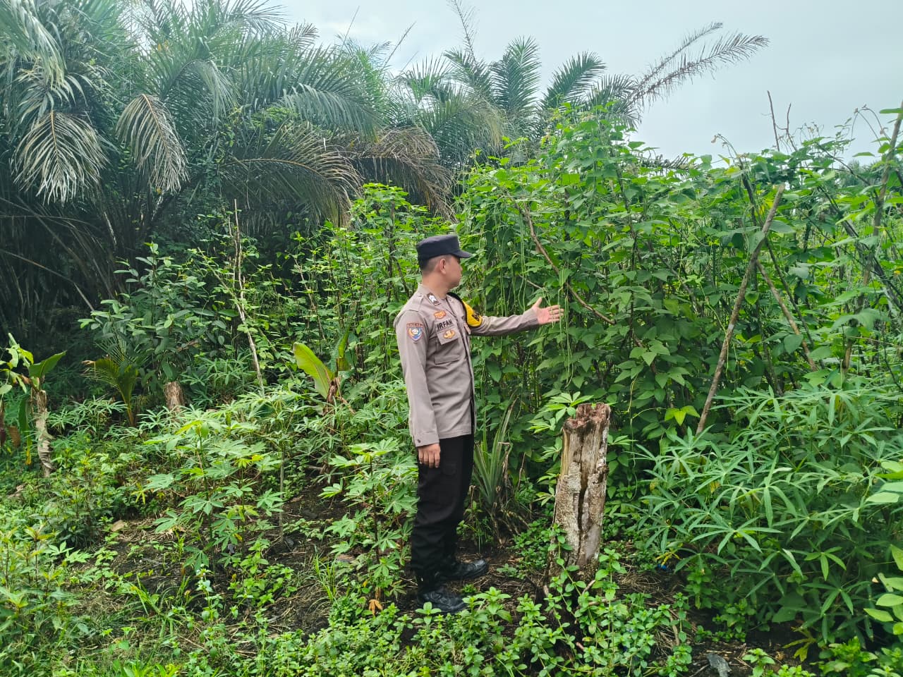 Polsek Marikit Cek Pemanfaatan Lahan Pekarangan Warga untuk Dukung Ketahanan Pangan