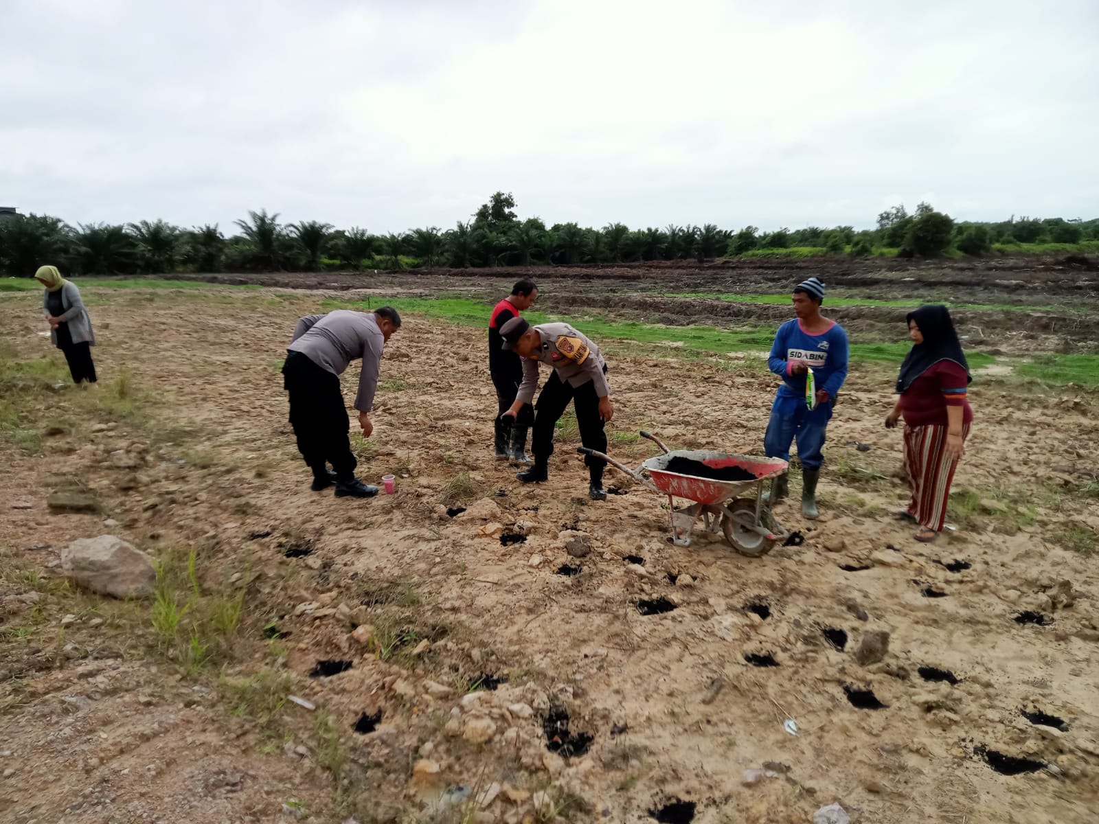Dukung Swasembada Jagung Nasional, Kapolsek Bulik Turun Langsung ke Lahan Penanaman