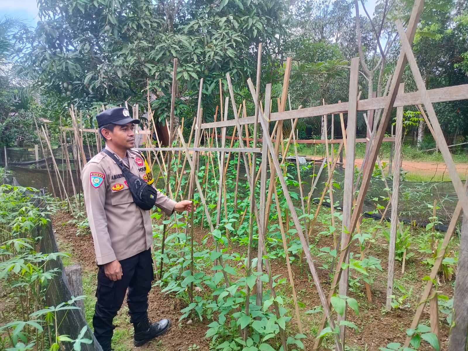 Saat Pekarangan Menjadi Kekuatan Pangan, Polsek Marikit Turut Bergerak